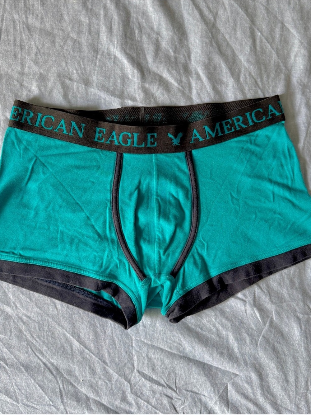 American Eagle Outfitters Teal Slim Straight Men's Jeans